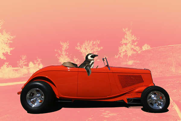 hotrod00128 fun pen