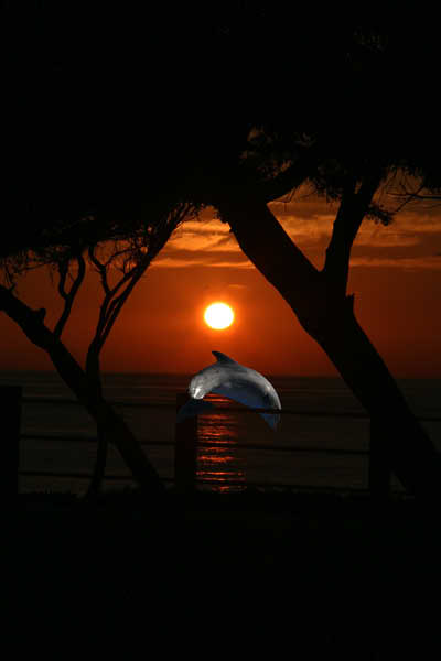 sunset00051 dolph