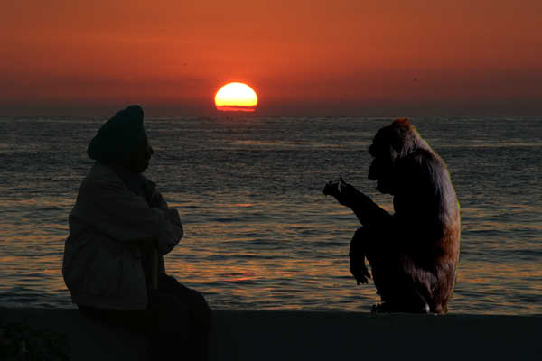 sunset00052ape
