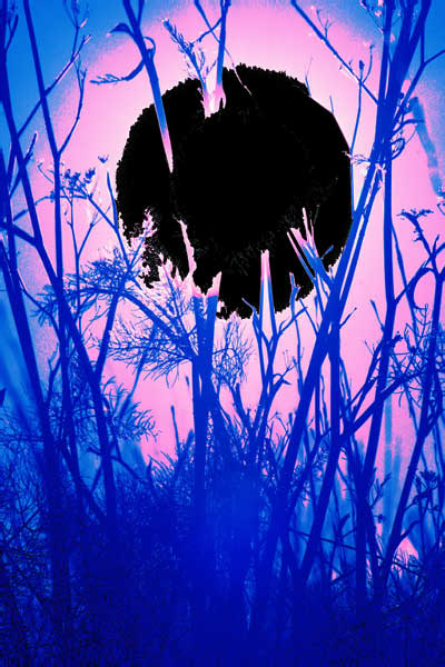 sunset peop00029 crop