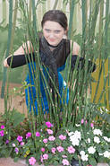IMG 3798 adj