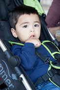 IMG 7341 adj