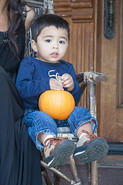 IMG 7482 adj