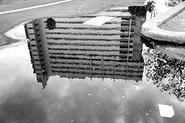 IMG 2226 adj2 bw