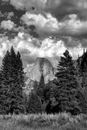 IMG 5035 6 7 bw