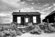 IMG 5291 2 3 fused adj bw