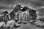 IMG 5309 10 11 tonemappedd adj bw