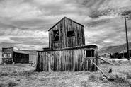 IMG 5354 5 6 fused adj bw
