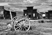 IMG 5357 8 9 fused adj bw