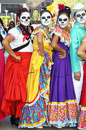 IMG 3002 adj