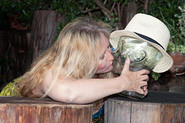 IMG 8421 adj 