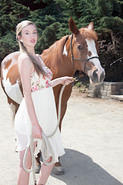 IMG 0974 adj