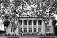 IMG 2257 adj bw