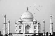 IMG 4693 adj2 bw