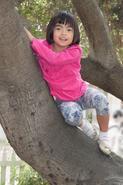 IMG 1446 adj web